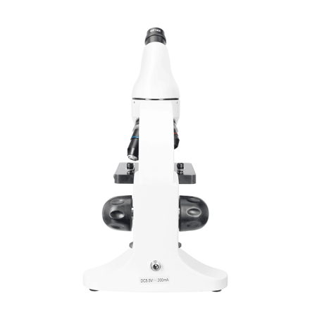 Микроскоп Levenhuk Rainbow D50L PLUS / Лунный камень